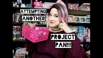 Project Pan Intro For 2019!