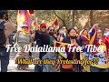 Is Tibet, India Or China? What Does the Netizens want?Peacefull Protests#dharamshala#tibet#dalailama