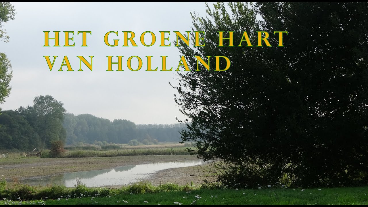 Het groene hart