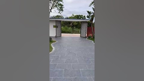 Cổng tự động con rùa #congtudong