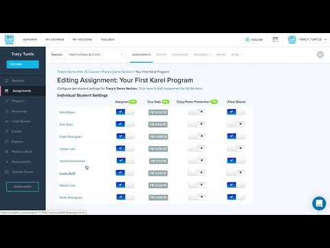 How do I adjust settings at per student level on CodeHS?