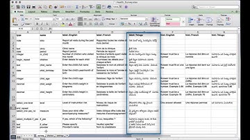 DataWinners: How to Use Multiple Languages with XLSForm