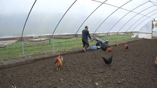 BCS Walk-Behind Tractor with Berta Rotary Plow