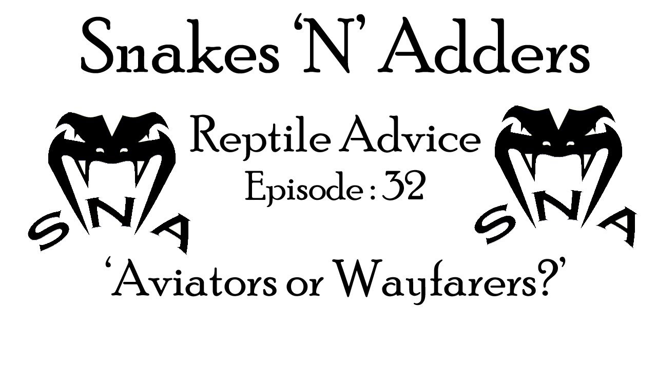 reptile care app Snakes 'N' Adders Reptile Advice : Episode - 32 (Aviators or Wayfarers?)