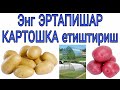 ЭНГ ЭРТАПИШАР КАРТОШКА етиштириш