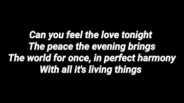 Can you feel the love tonight by (Halle Bailey) lyrics