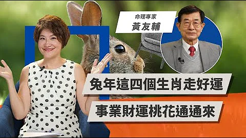 兔年這四個生肖走好運，事業財運桃花通通來 | TODAY財知道 | LINE TODAY - 天天要聞