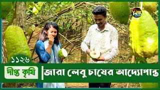 Deepto Krishi/দীপ্ত কৃষি- জারা লেবু চাষের আদ্যোপান্ত - একেকটি লেবুর ওজন ২ থেকে ৪ কেজি | 1126