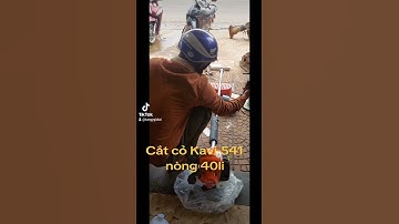 Cắt cỏ Kavi-541 nòng 40li,chế Walbro tiết kiệm xăng.0914149955-0981164786