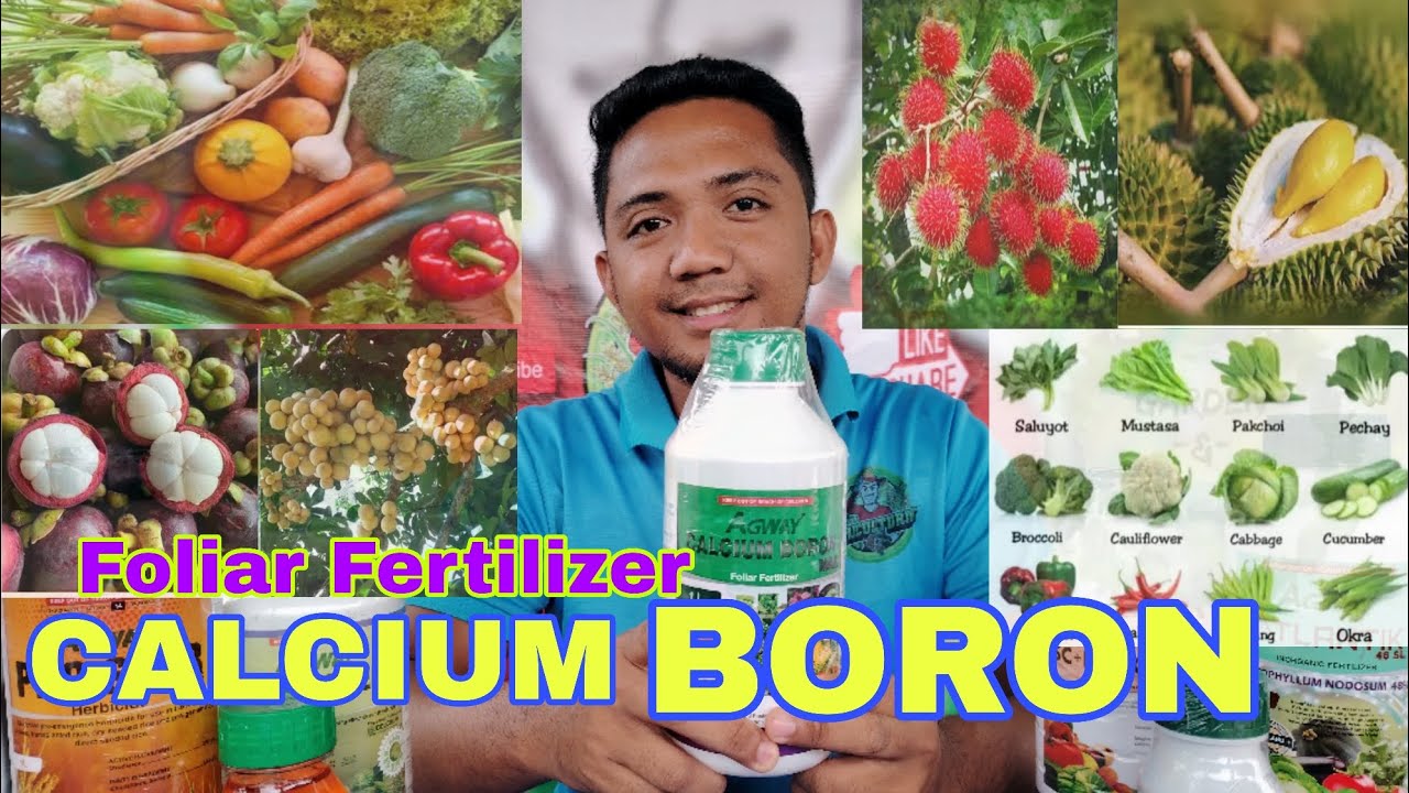 CALCIUM BORON Foliar Fertilizer para sa Gulayan, Fruit Trees, Ornamentals at iba pa | AGWAY