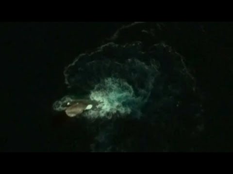 10 Mysterious Deep Sea Creatures Spotted On Google Earth