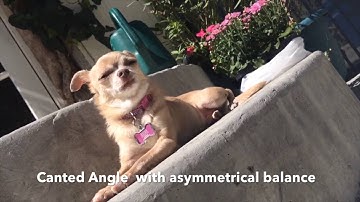 COM 128   Visual Element, Image Composition, and Lighting Guidelines