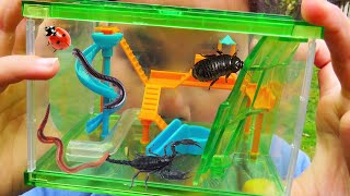 Bug Playground  For Real Bugs  Bug Hunt For Kids With Zoe and Daddy