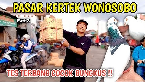 BERBURU MERPATI GIRINGAN DIPASAR KERTEK WONOSOBO TES TERBANG COCOK BUNGKUS PART 2