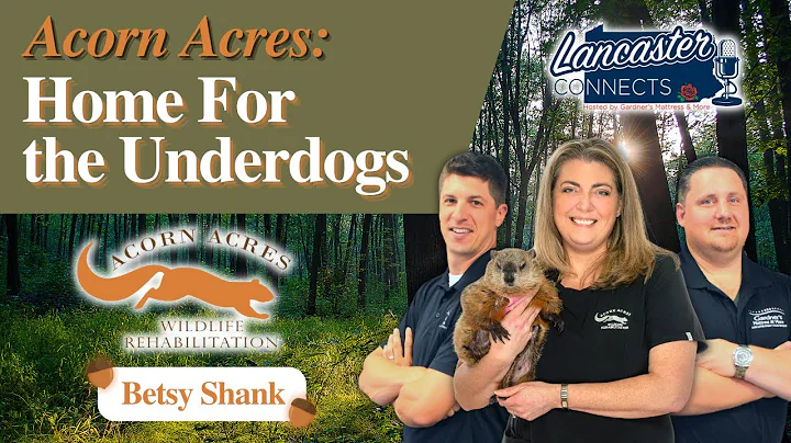 Acorn Acres: Home For The Underdogs With Betsy Sha...