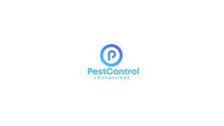Pest Control Cranbourne- Call Us Now