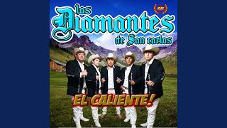 Vignette de la vidéo "Los Diamantes de San Carlos - Quiero Tenerte a Mi Lado"