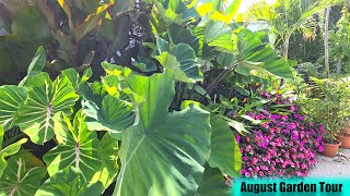 August Garden Tour The Month of Explosive Color and Growth