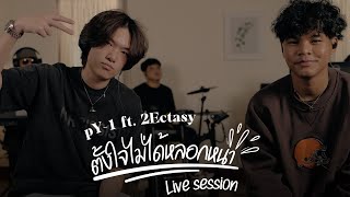 pY-1 - ตั้งใจไม่ได้หลอกหนา Feat. 2Ectasy ( Live Session )