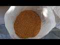 Silagem de milho grão umido em sacos plásticos máquina primus Compacta +