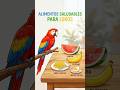😯🔥 ¡Los Mejores Alimentos Humanos Para Loros! #foryou #drjuan