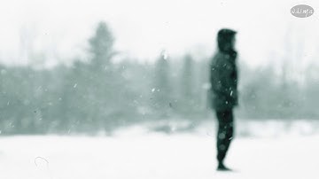Once Upon A Winter - Her Lost Love, My Entropy