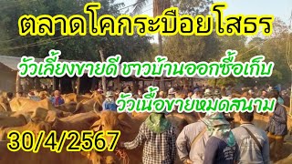 ตลาดโคกระบือยโสธรเชียงหวาง 30/4/2567วัวเลี้ยงขายดีชาวบ้านออกซื้อเก็บ วัวเนื้อขายหมดตลาด❗ควายขายเงียบ