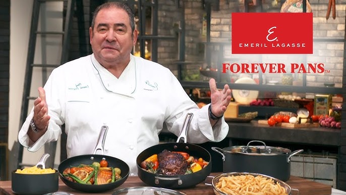 The BEST everyday pots and pans  Emeril Everyday Forever Pans