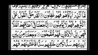Surah Yaseen 1 to 15 ayat by Sudai