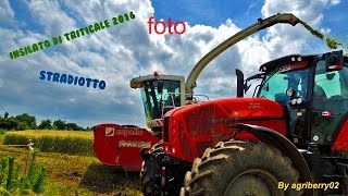 Insilato Triticale Giugno 2016 f.lli Stradiotto (foto)