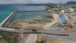 辺野古土砂投入1週間  海洋生物への影響懸念も