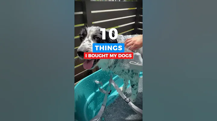 10 Things I Got to Spoil My Dogs #shorts #amazon #amazonfinds #products #pets