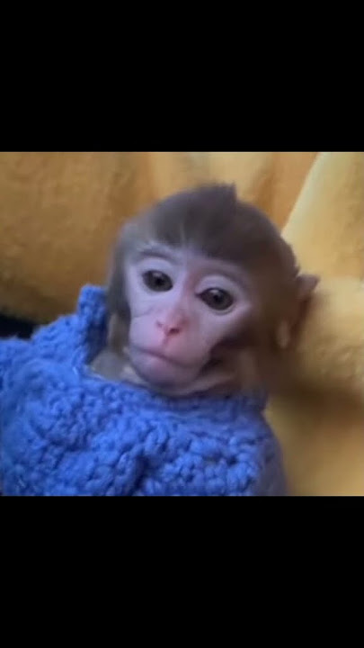 @247pips TikTok video #7033186055998246150 #fyp 😊😊😊😊😊😊😊😊😊😊😊