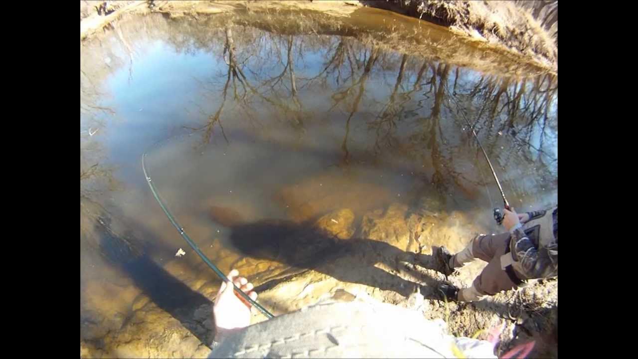 Fishing the White Bass Spawn in Texas YouTube