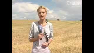 Уборочная страда на Вологодчине