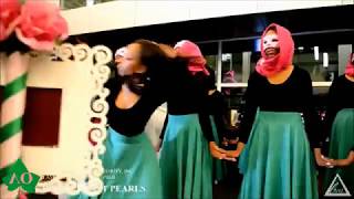 Alpha Kappa Alpha Sorority, Inc. Spring 2018 Lambda Omicron Probate: PersisTENt Pearls