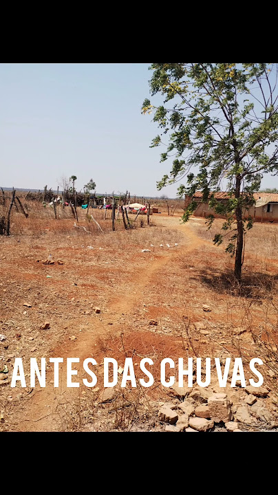 Sertão veja transformações antes depois da chuva seca e  verde