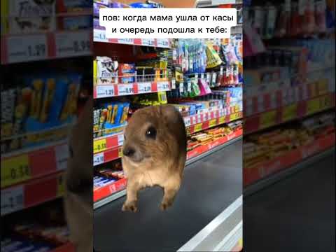 #мама #касса #очередь #магазин #смех #мем  #funny #fyp #fypシ゚viral