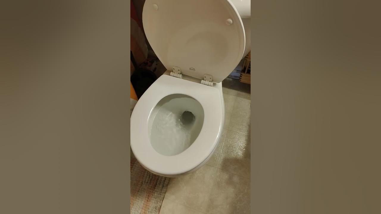 Toilet doesn't flush well YouTube