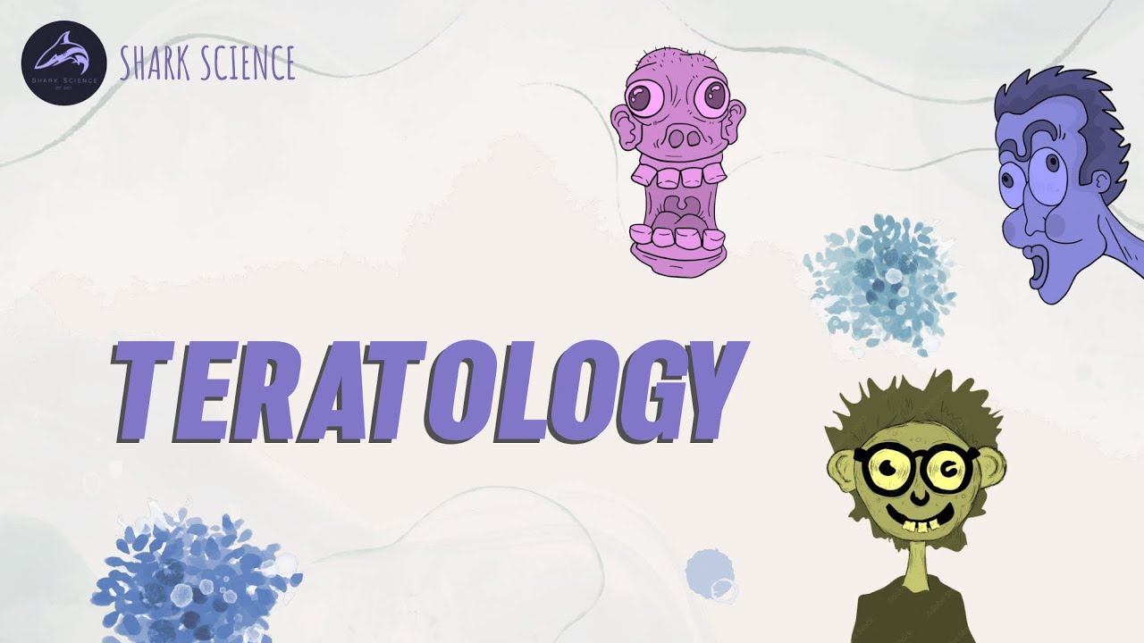 ᴇᴍʙʀʏᴏʟᴏɢʏ | ᴛᴇʀᴀᴛᴏʟᴏɢʏ