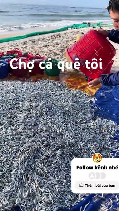 DU LỊCH BỤI Vlog || Mua tận gốc là đây