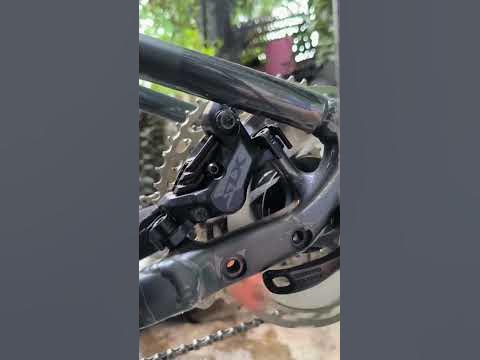 shimano saint dual dia quad piston