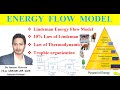 Energy flow model, #energyflow #ecology  Lindeman energy flow model, 10% low of Lindeman