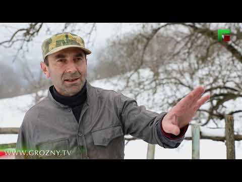 Видео: Хорих таван зовлонгийн аль нь хоригдол эрх чөлөөгөө алдаж, нийгэмд гадуурхагдсан мэт мэдрэмжийг төрүүлдэг вэ?