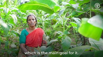 “Women’s Organizations – Cultivating Collaboration”