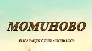 MOMUHOBO - ELICA PAUJIN LIRIK 1 HOUR LOOP