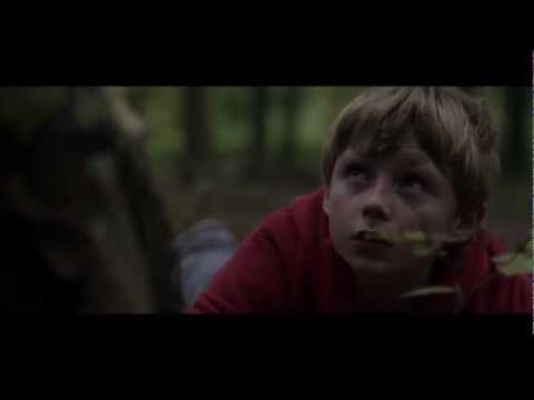 Don't Give Up The Fight Video