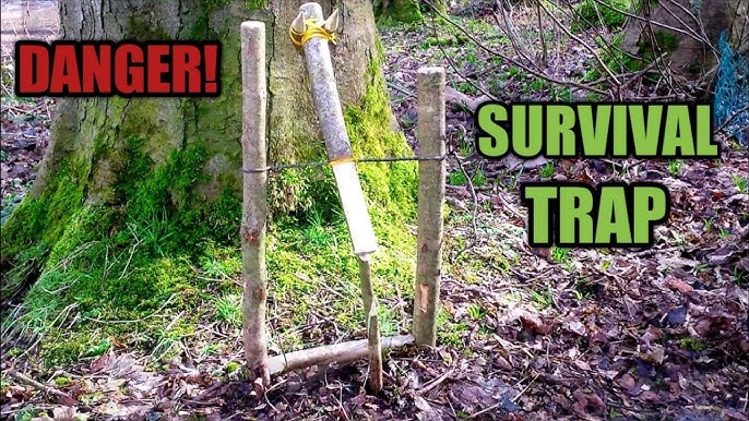 How to make a split stick deadfall trap trigger 