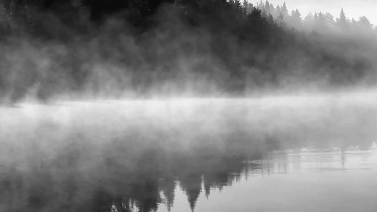 Greedy Pig - At Bowfisher's Home