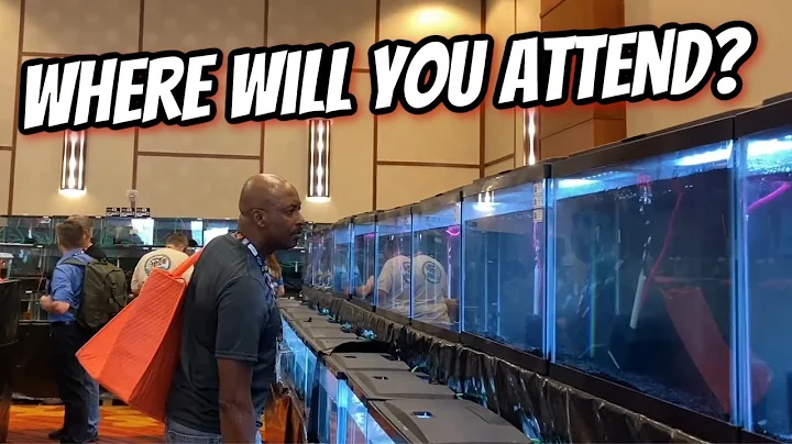 Top 5 Must-see Aquarium Events Of 2024 That Will Blow Your Mind!